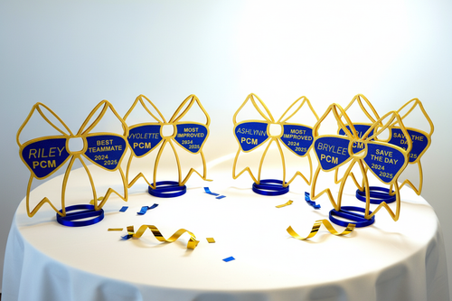 Cheer bow awards - clean table display